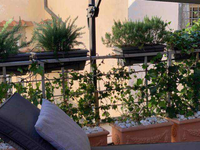 La Terrazza Del Duomo A Pistoia Apartment Luaran gambar